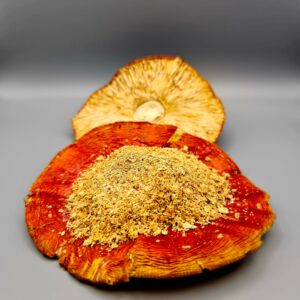 R&auml;ucherwerk Amanita muscaria (Fliegenpilz) Test